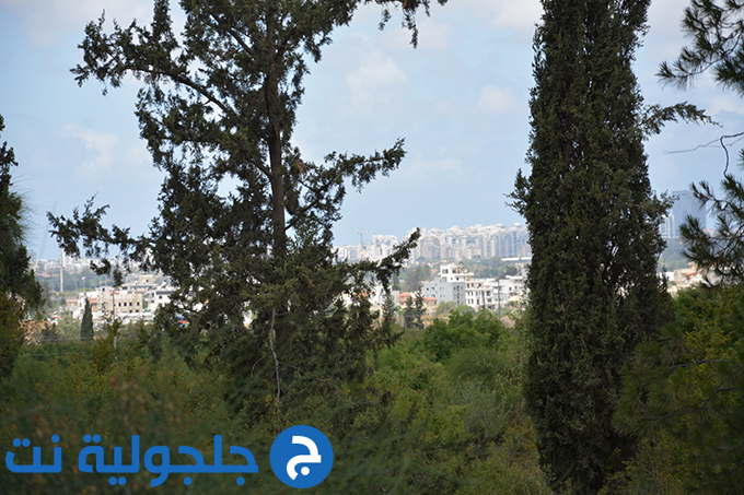حراك نقف معا ينظم جولة في قرية خريش المهجرة 